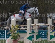 Garcia Blue Boy 2013- S5 7942 : Arezzo Equestrian Centre, Blue Boy, Garcia Juan Carlos, Toscana Tour 2013, foto di Stefano Secchi ©